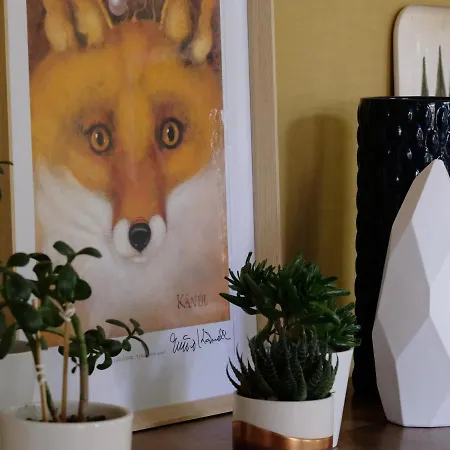 Mille Et Feuilles Saint-Martin-Lez-Tatinghem