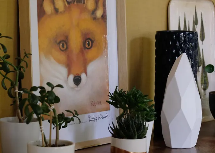 Mille Et Feuilles Saint-Martin-Lez-Tatinghem